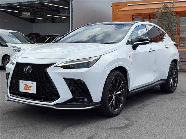 Lexus NX 10