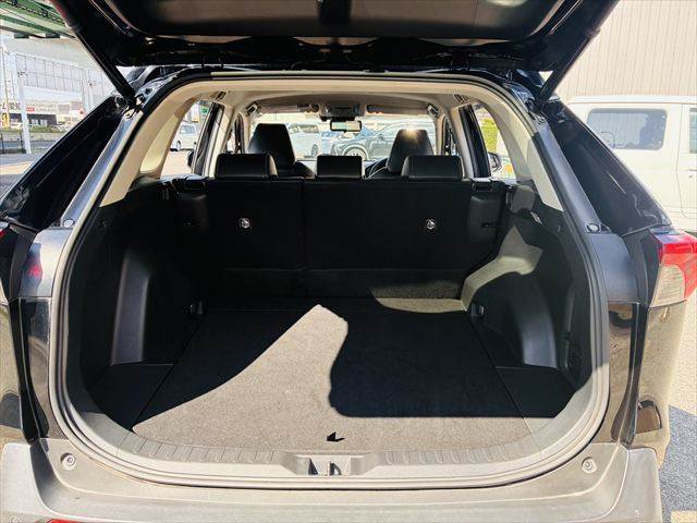 Toyota RAV4 10