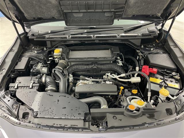 Subaru Levorg Layback 9