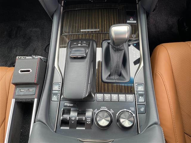 Lexus LX 10