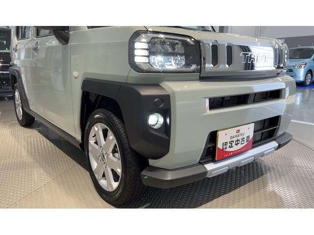 Daihatsu Taft 11