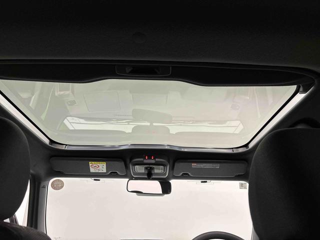 Daihatsu Taft 11