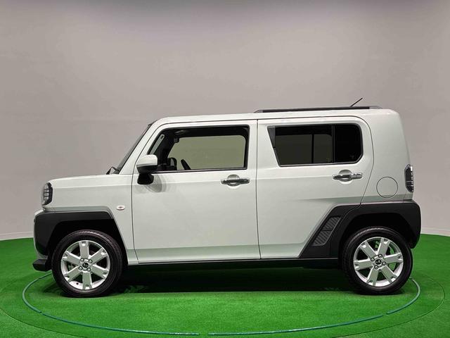 Daihatsu Taft 8