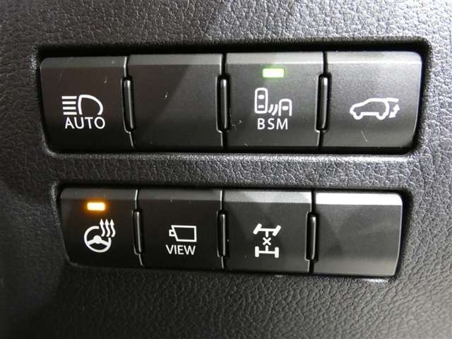 Lexus NX 11
