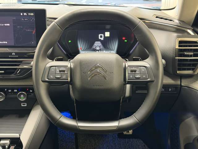 Citroen C5 X 12