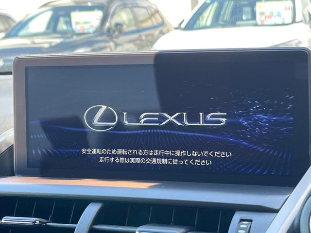 Lexus NX 4