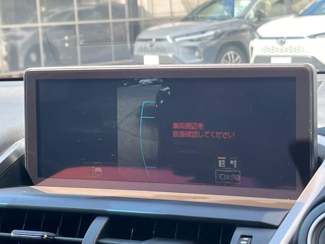 Lexus NX 5