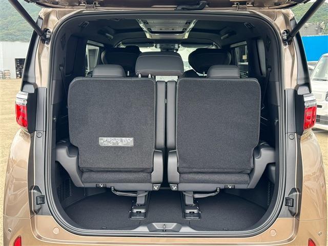 Toyota Alphard 9
