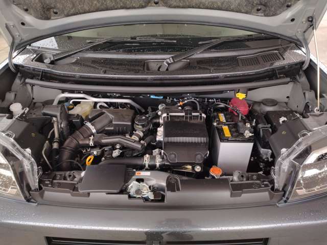 Daihatsu Taft 12