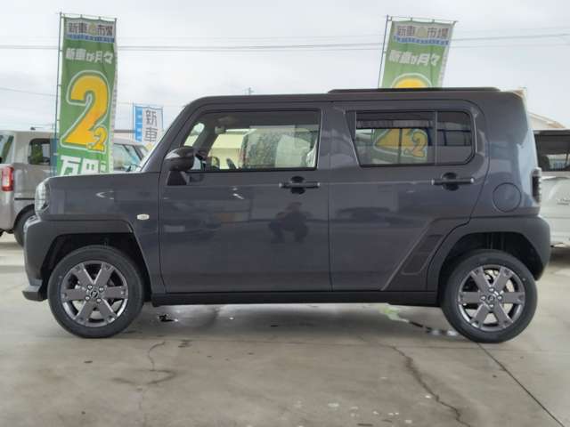 Daihatsu Taft 8