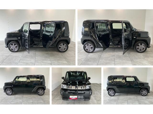 Daihatsu Taft 8