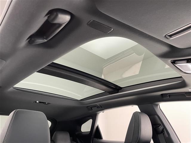 Lexus RX 9