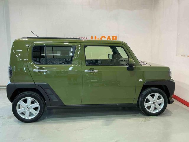 Daihatsu Taft 12