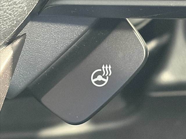 Subaru Crosstrek 5