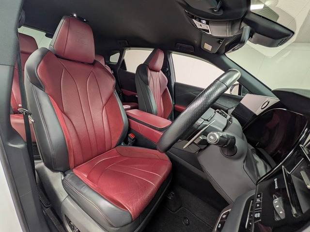 Lexus RX 11