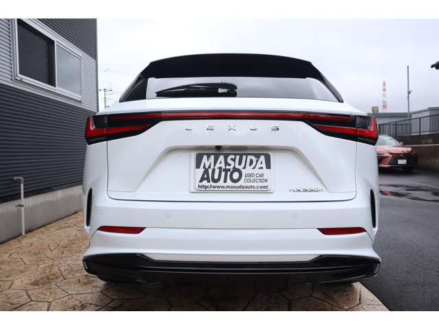 Lexus NX 6
