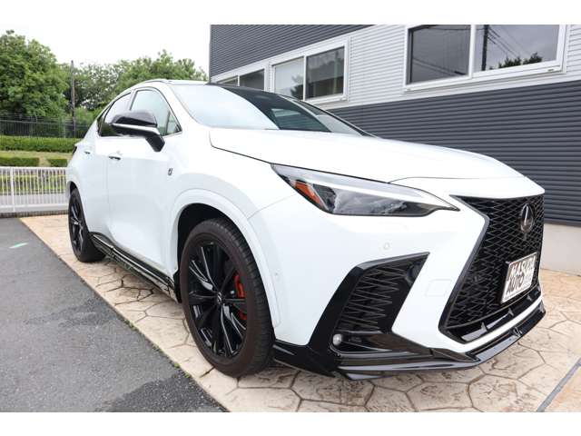 Lexus NX 3