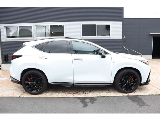 Lexus NX 4