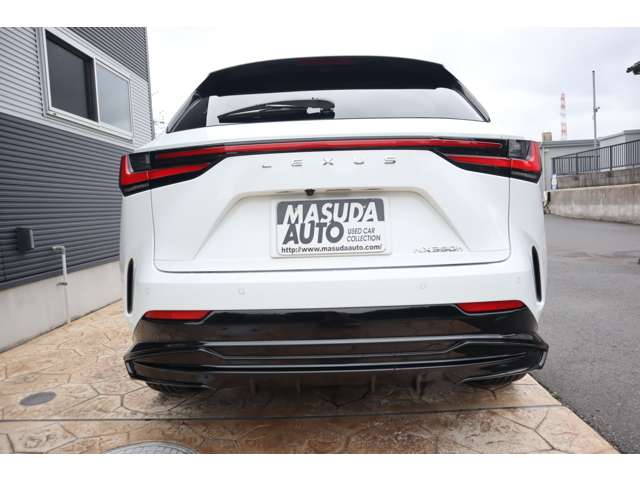 Lexus NX 6