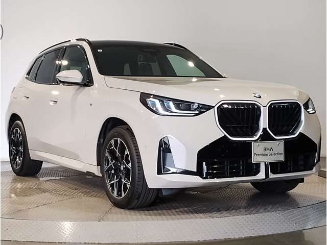 BMW X3 11