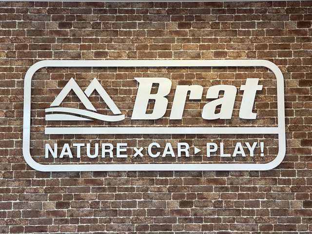 Toyota Probox Van 3