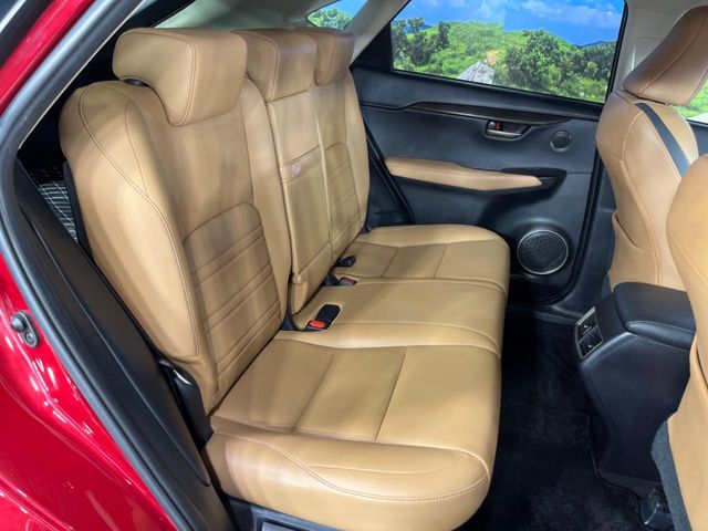 Lexus NX 10