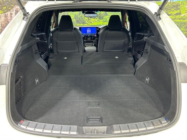 Lexus NX 11