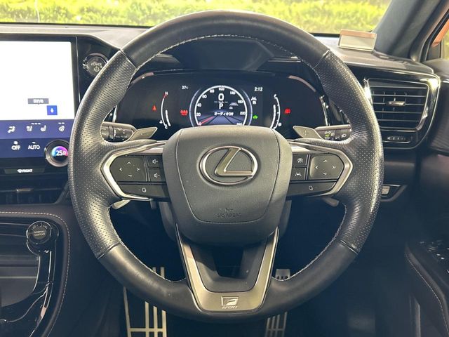 Lexus NX 12