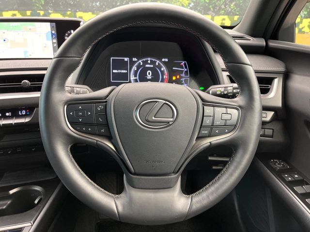 Lexus UX 11