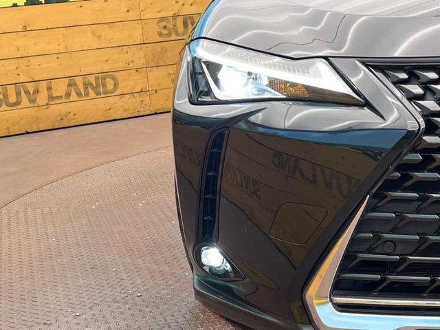 Lexus UX 12