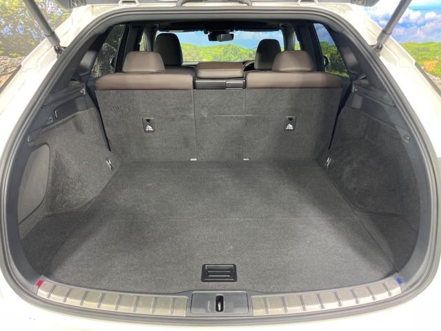 Lexus RX 11