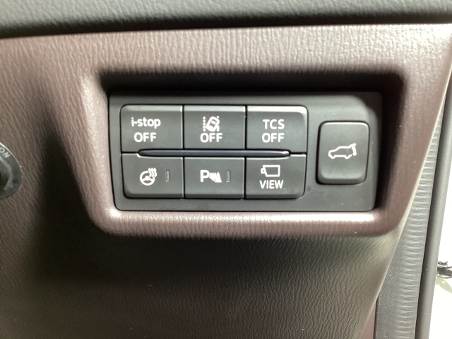 Mazda CX-8 6