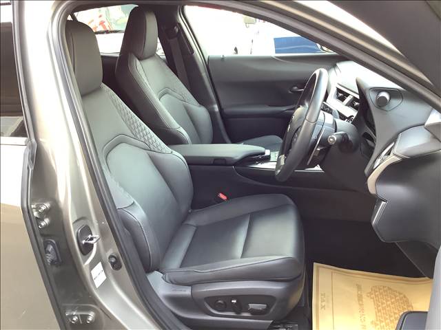 Lexus UX300e 4