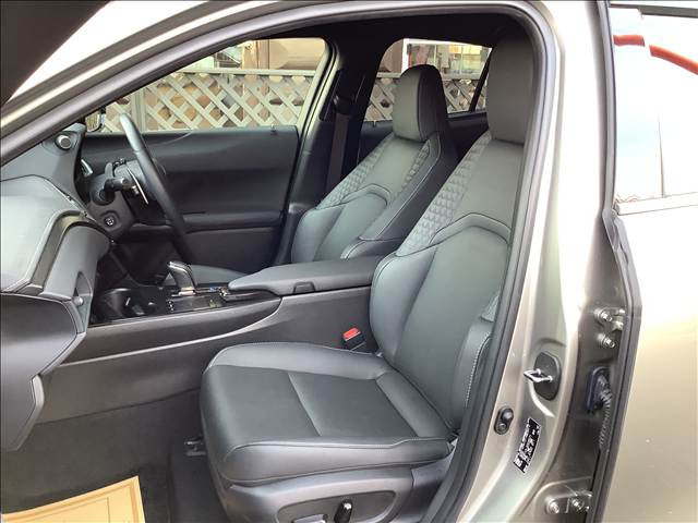 Lexus UX300e 5