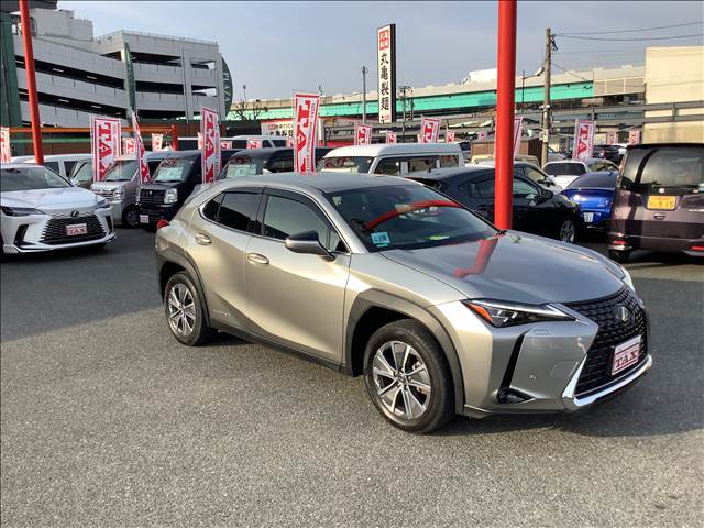 Lexus UX300e 7