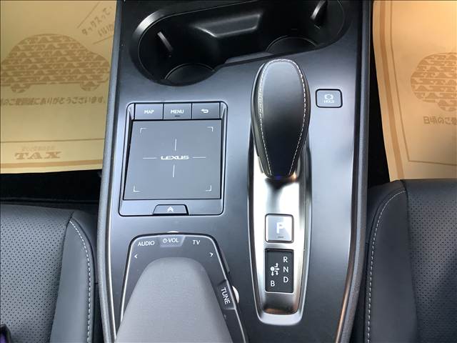 Lexus UX300e 9