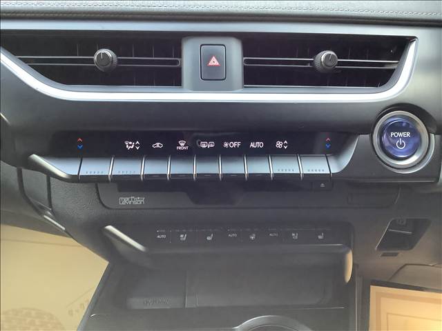 Lexus UX300e 10