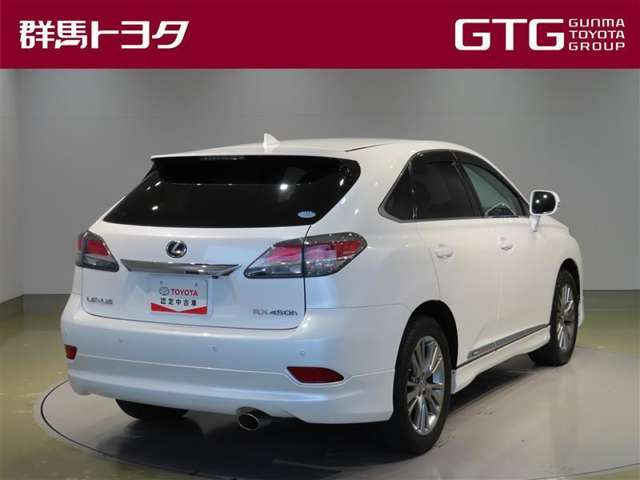 Lexus RX Hybrid 5