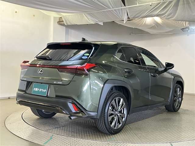 Lexus UX 8