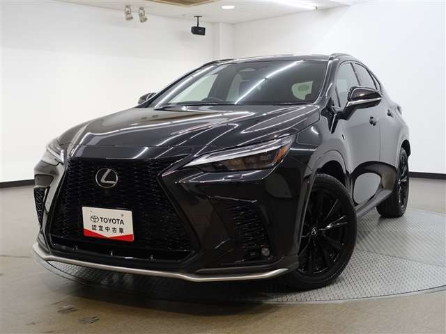 Lexus NX 6