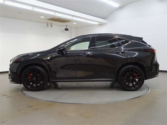 Lexus NX 7