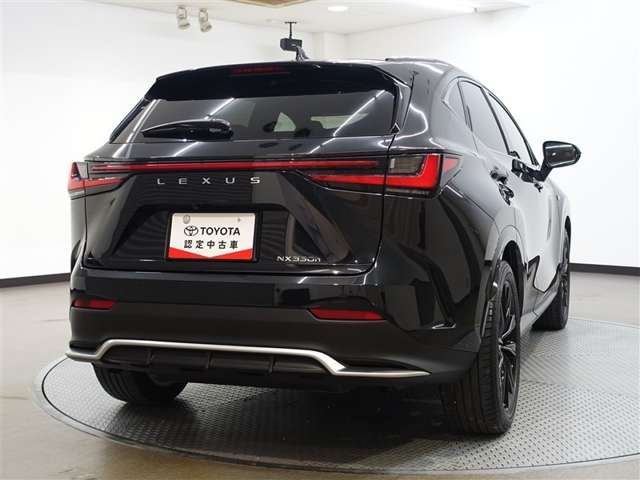 Lexus NX 8