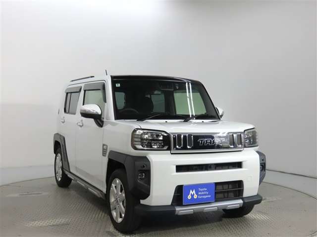 Daihatsu Taft 11