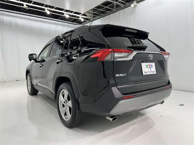Toyota RAV4 6