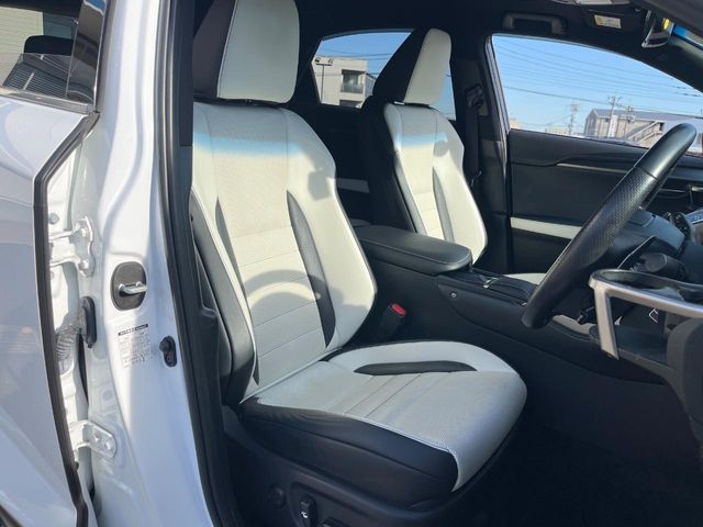 Lexus NX 12
