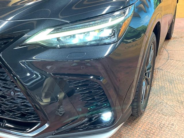 Lexus NX 11