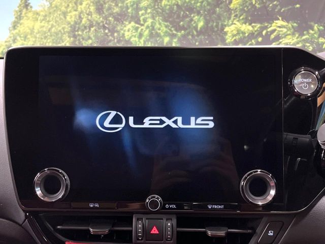 Lexus NX 4