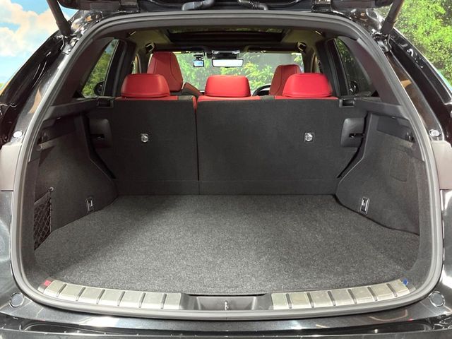 Lexus NX 10