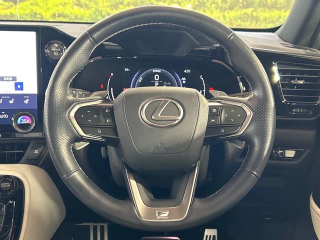 Lexus NX 12