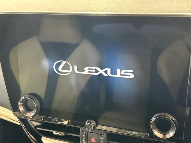 Lexus NX 4